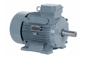 Squirrel Cage Induction Motor: Tikanga Mahi, Momo, Painga, me nga Tono