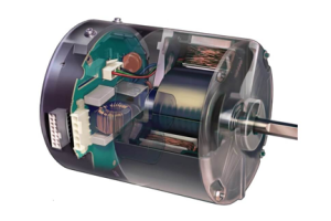 Motuka Whakawhiti Hiko (ECM): Mahi, Momo, me nga Taumahi