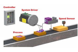He Kupu Whakataki ki nga Pūnaha Whakahaere: Mahi, Momo me nga Tono